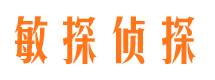 兴国侦探公司